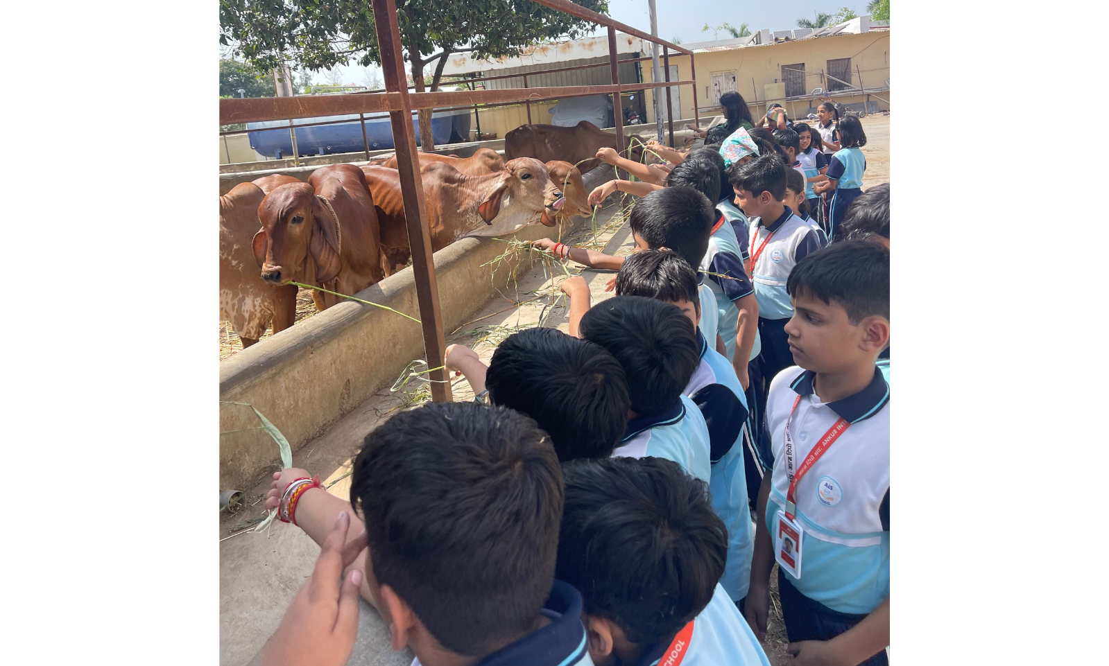 Untitled design (15)